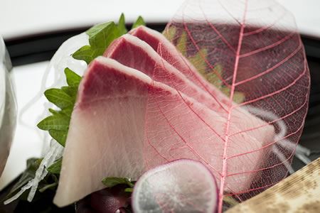 Picture of Hamachi - Yellowtail